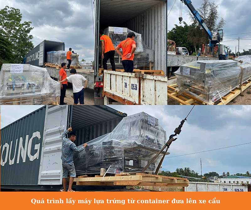 máy phân loại trứng B.H.N