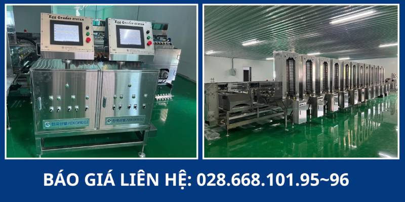 Máy phân loại trứng