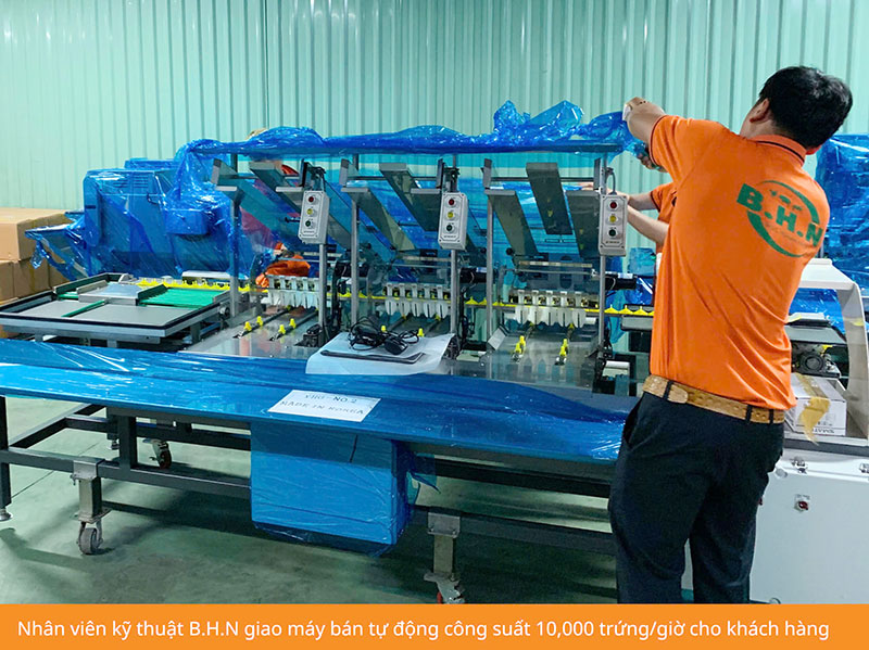 Máy phân loại trứng