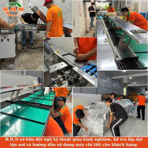 máy phân loại trứng