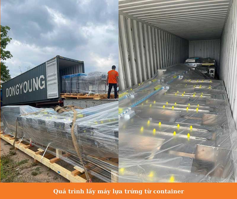 máy phân loại trứng B.H.N