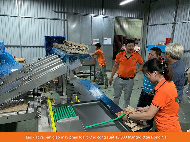 máy phân loại trứng