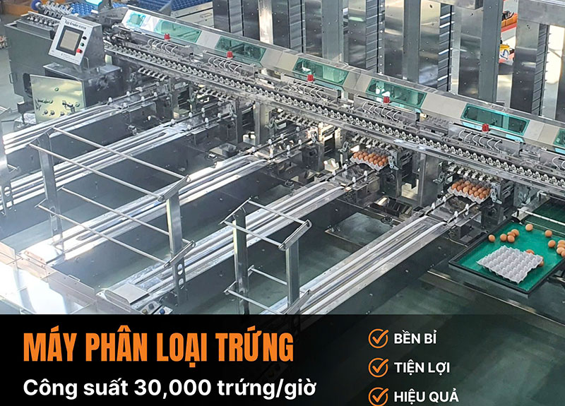Máy phân loại trứng