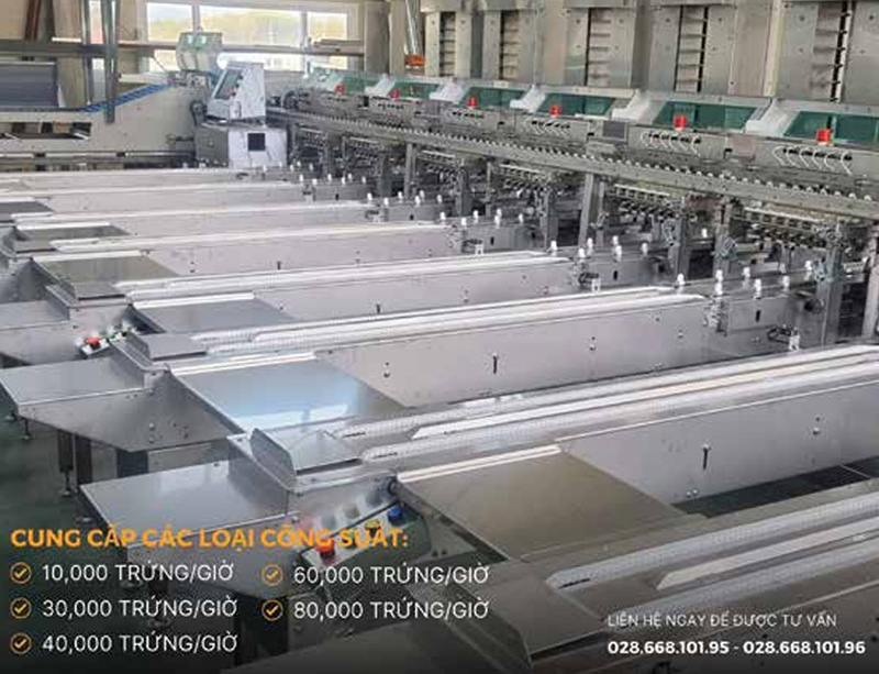 Máy phân loại trứng