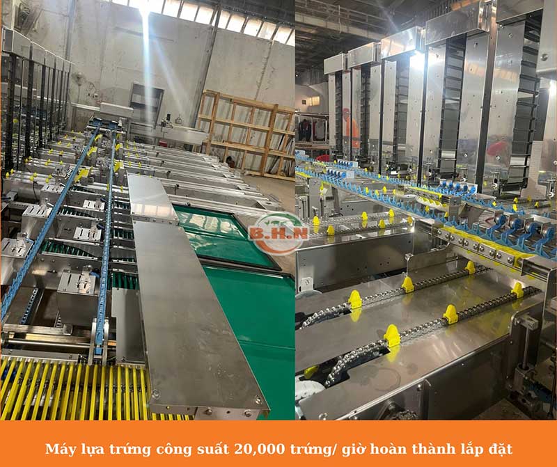 máy phân loại trứng B.H.N