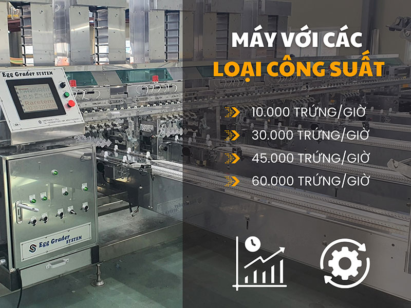 máy phân loại trứng B.H.N