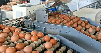 Máy phân loại trứng: Giải pháp tiên phong cho nông nghiệp hiện đại