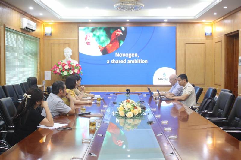 chọn tạo giống gà hướng trứng