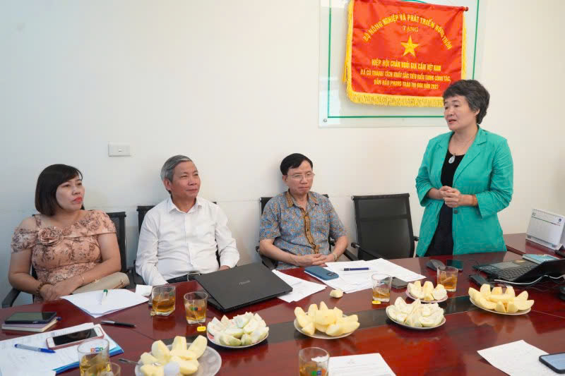 VPA hoạt động 6 tháng