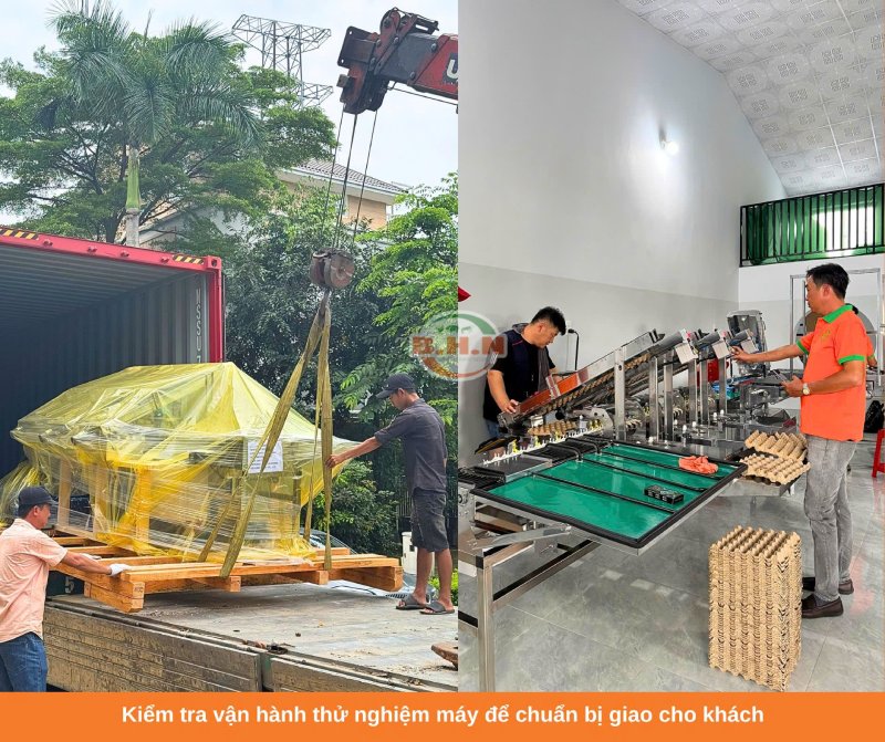 máy phân loại trứng tự động đóng vỉ