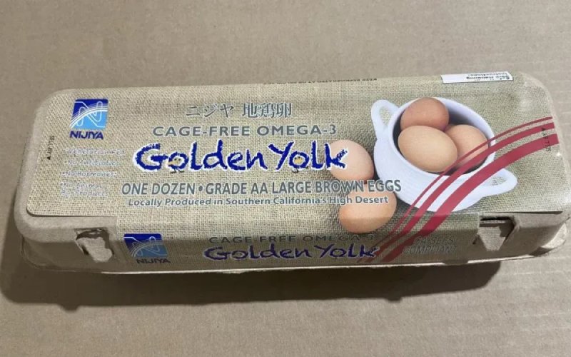 Salmonella