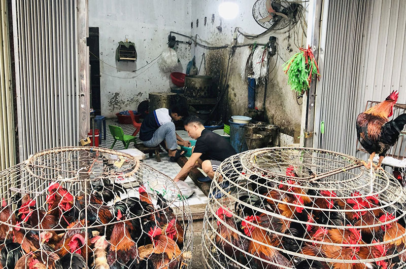 giết mổ nhỏ lẻ