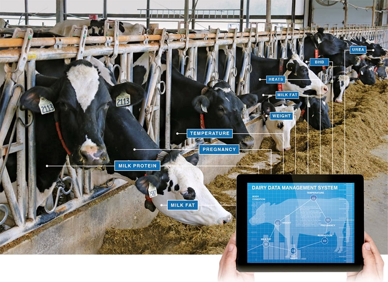 Trí tuệ nhân tạo