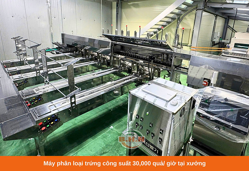 máy phân loại trứng