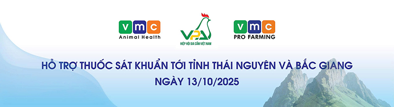 VMC Việt Nam hỗ trợ