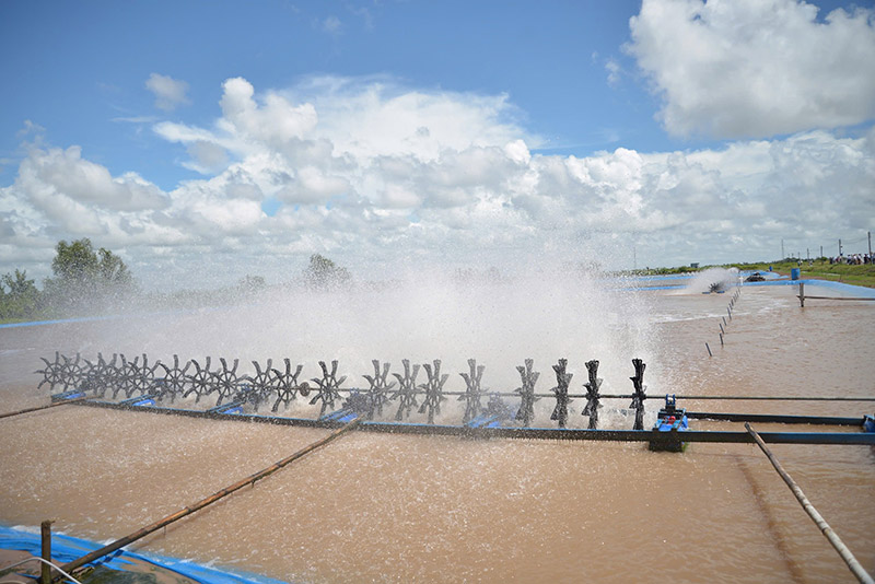 viet agros hội chợ nông nghiệp