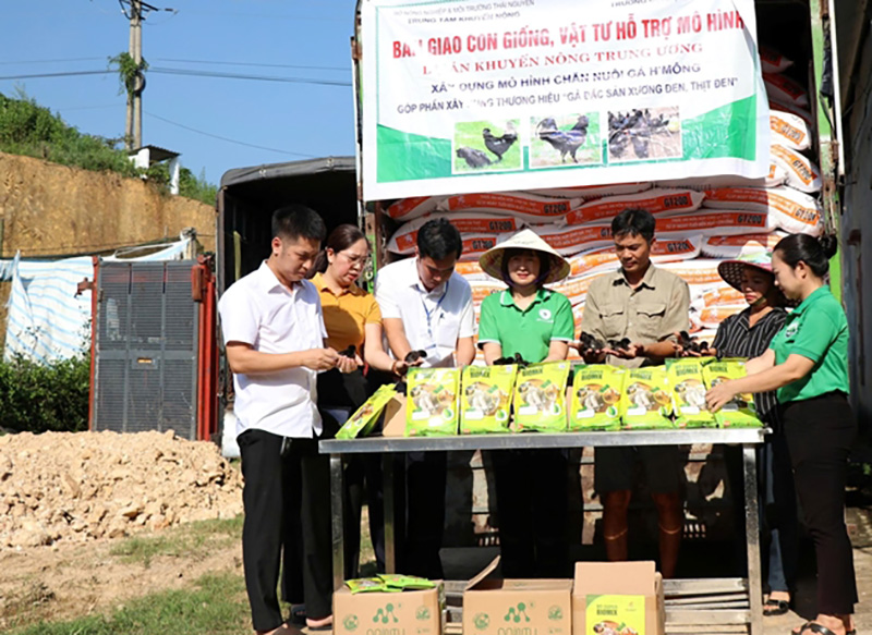 Quyết định số 4296/QĐ-BNNMT