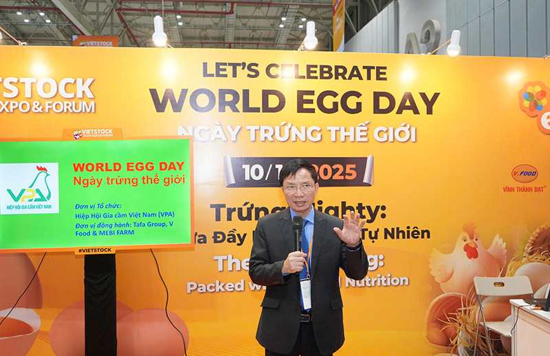 World Egg Day