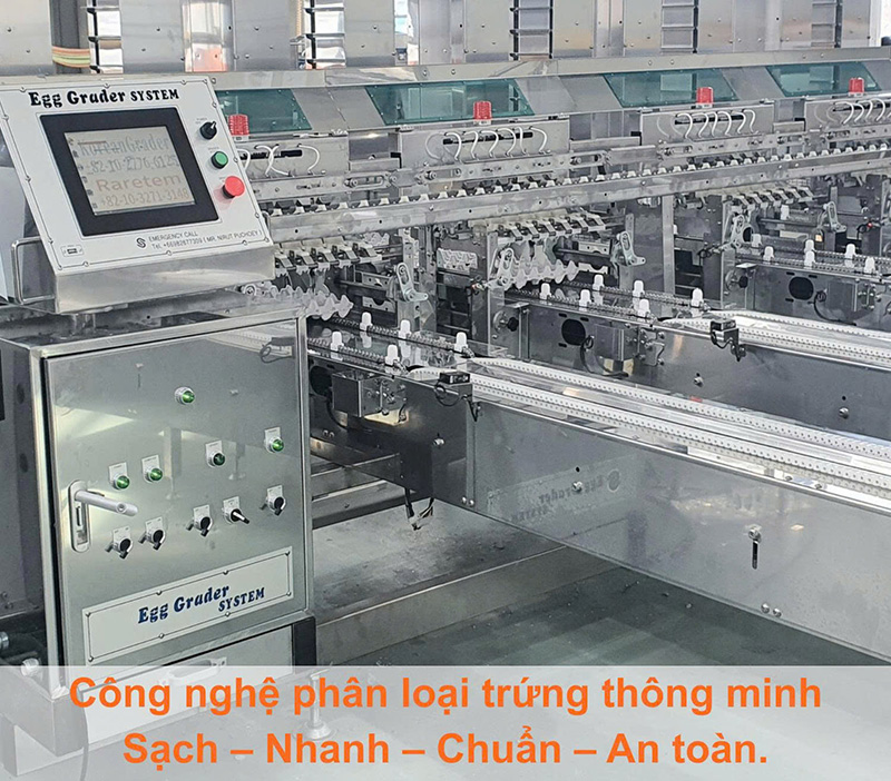 Máy phân loại trứng