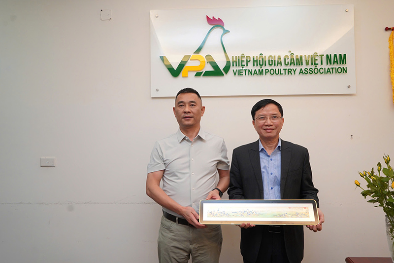 Wens làm việc tại Việt Nam