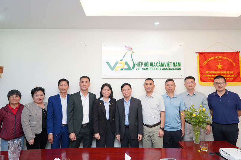 Wens làm việc tại Việt Nam