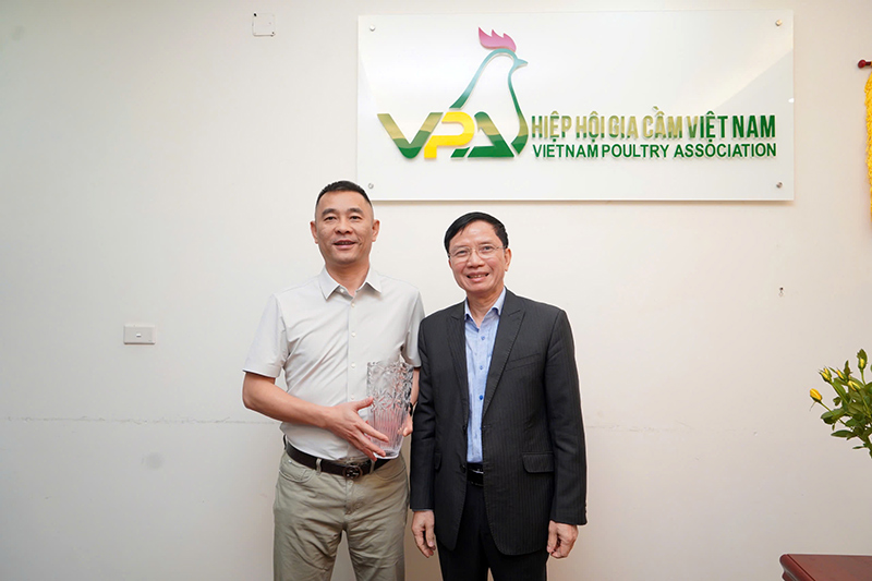 Wens làm việc tại Việt Nam