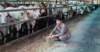 Hòa Phát tăng nguồn lực cho chiến lược nông nghiệp khép kín