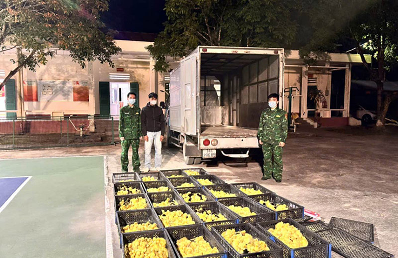 vịt giống nhập lậu