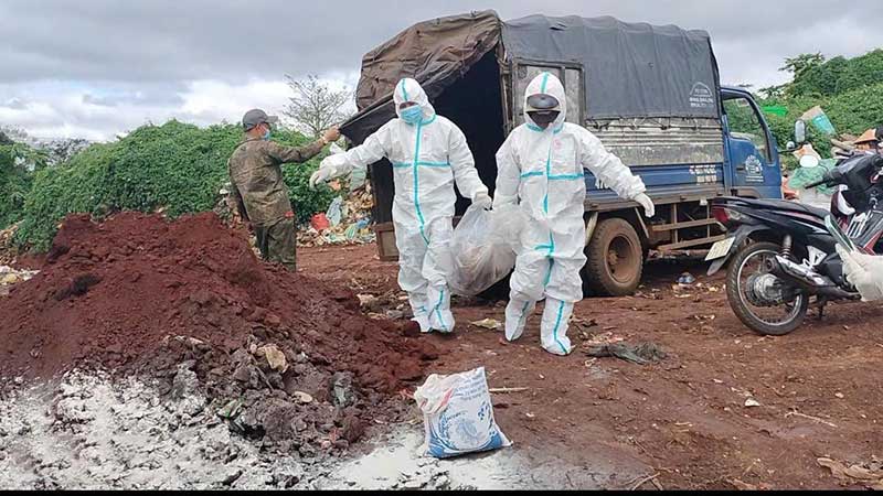 dịch cúm gia cầm