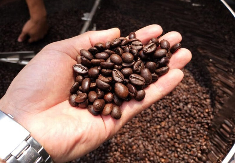 ngành nông nghiệp và môi trường 2025