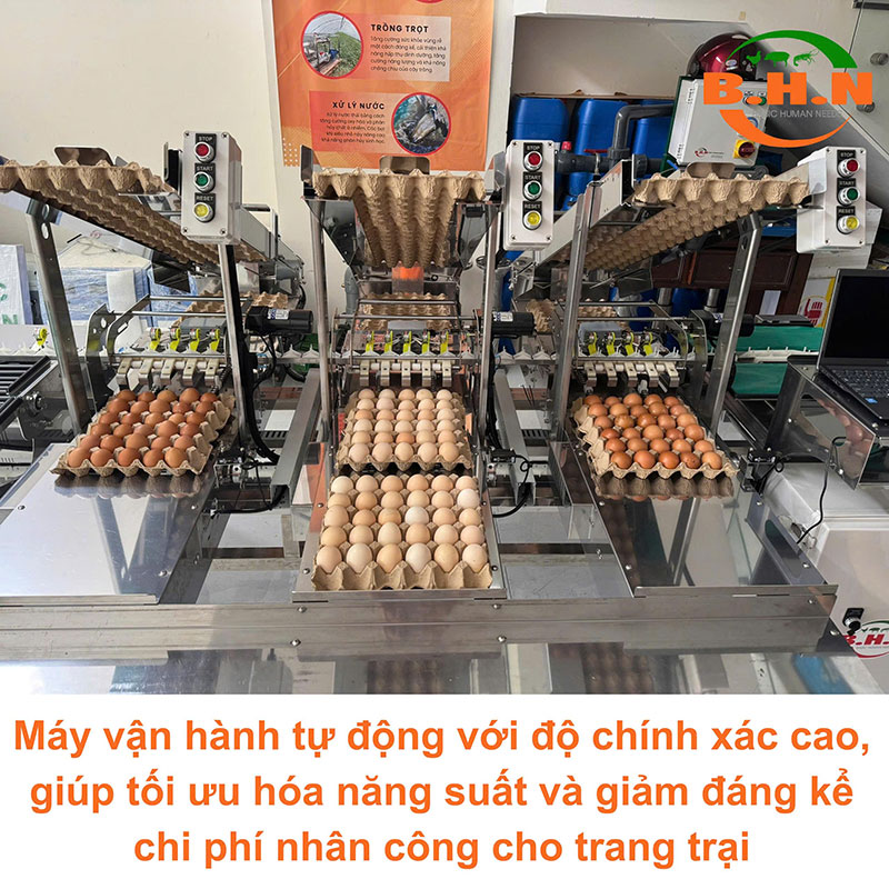 máy phân loại trứng