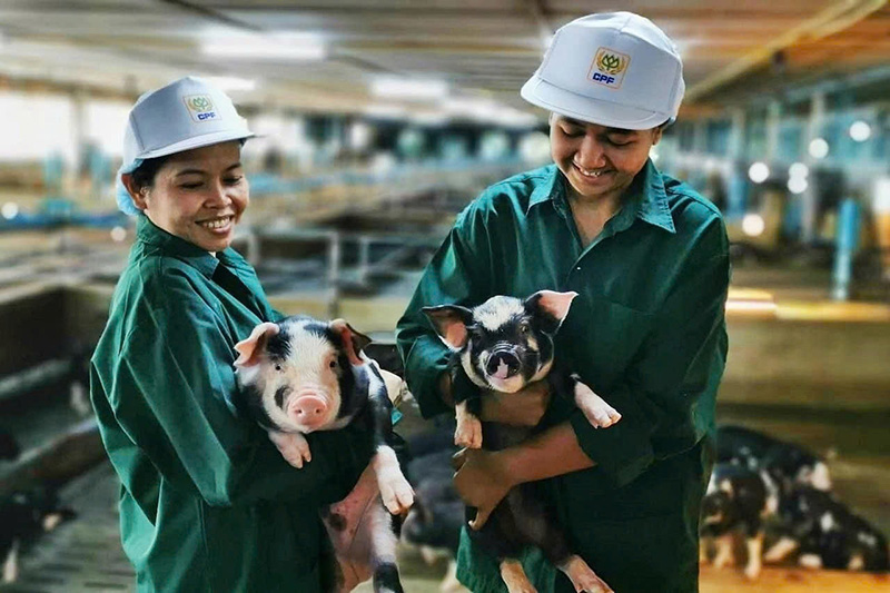 ngành chăn nuôi 2026