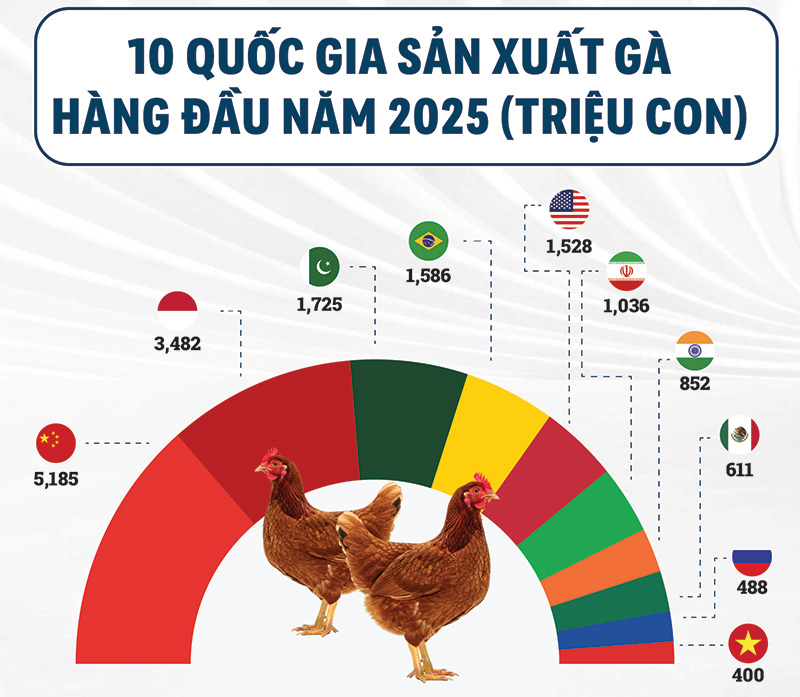 top quốc gia sản xuất gà