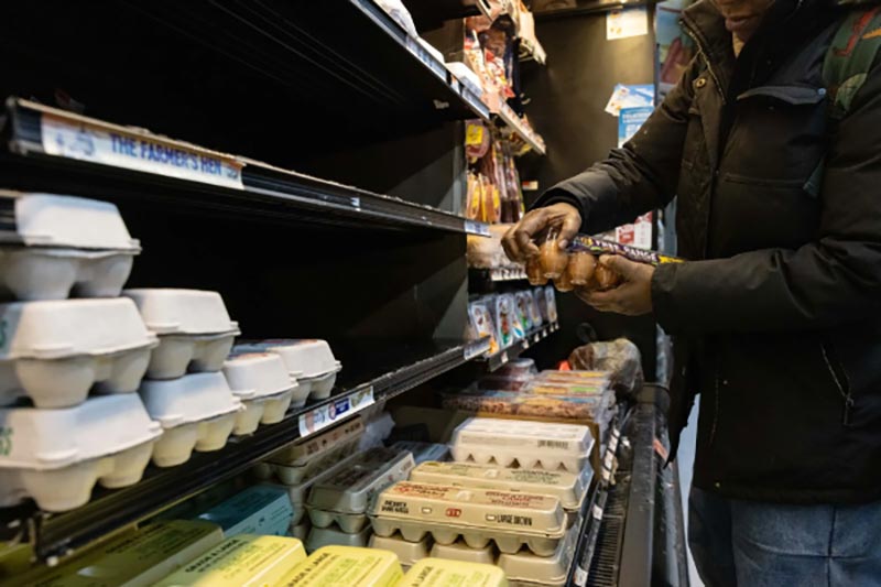 giá trứng tại Mỹ