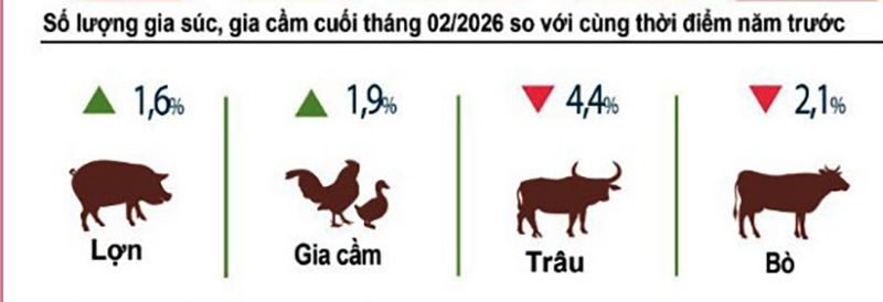 sản lượng vật nuôi tháng 2