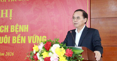 Chủ động kịch bản ứng phó khi giá thức ăn chăn nuôi biến động