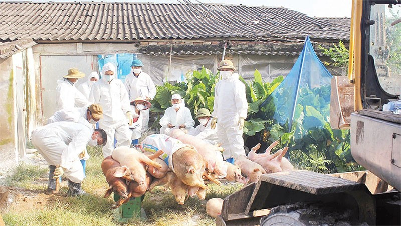 phòng dịch cho vật nuôi