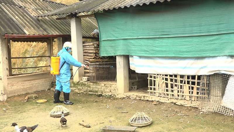 khử trùng môi trường chăn nuôi