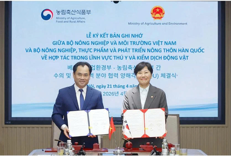 thị trường thịt gà chế biến