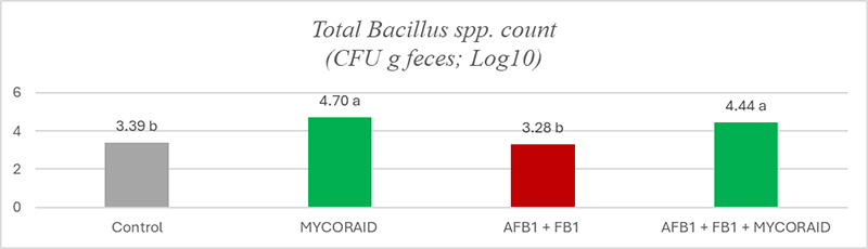 Bacillus spp.
