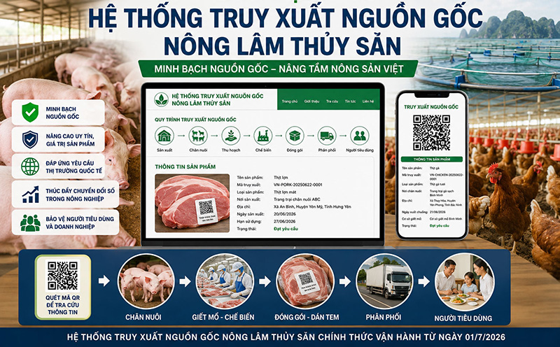 truy xuất nguồn gốc nông lâm thủy sản