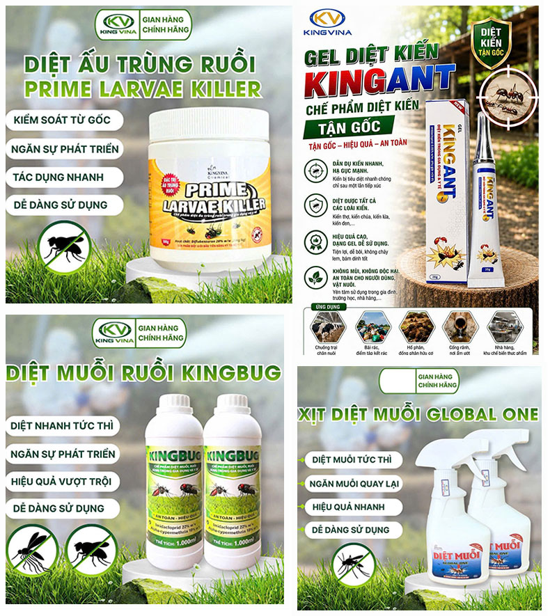 Kingvina