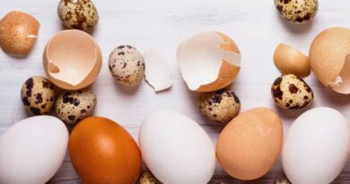 8 sự thật về trứng mà nhiều người chưa biết