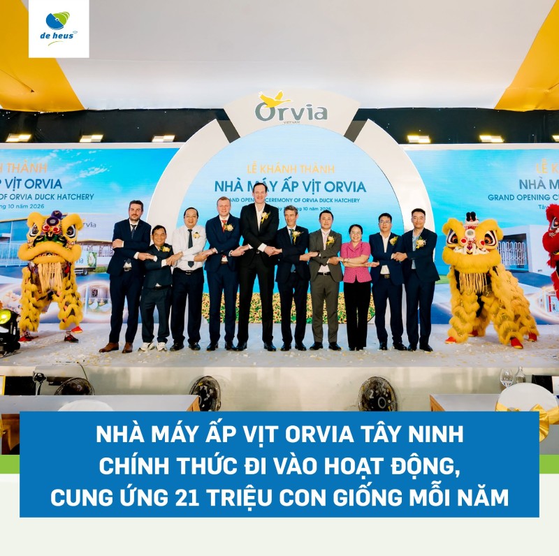 Orvia Việt Nam