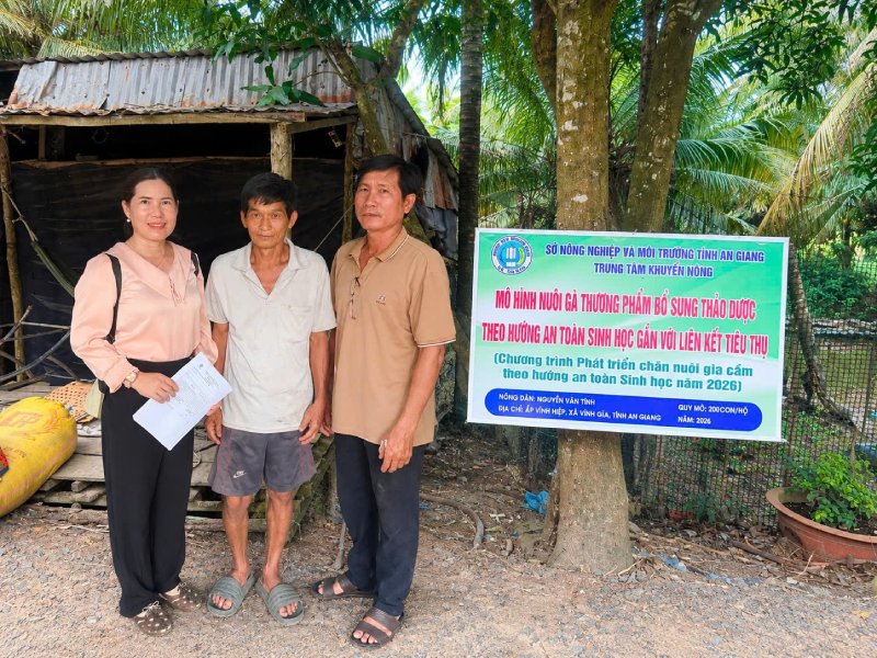nuôi gà thảo dược